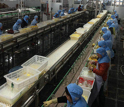 糕點(diǎn)生產(chǎn)線(xiàn)